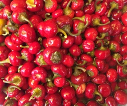 Whole Cherry Pepper