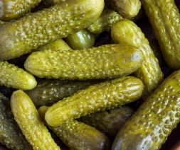 Pickled Cucumber